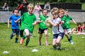 Monaghan Rugby Summer Camp 2015 (39 of 75)